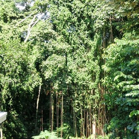 Latugu Homestay Ubud Zewnętrze zdjęcie