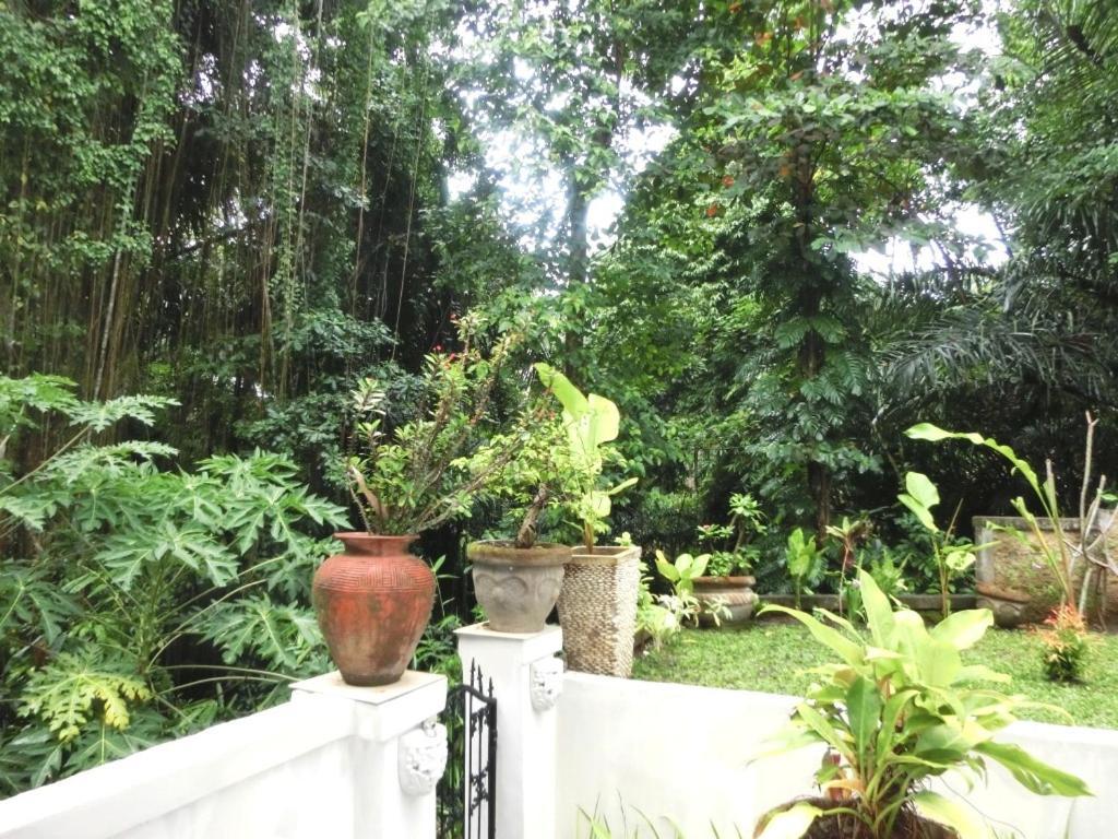 Latugu Homestay Ubud Pokój zdjęcie
